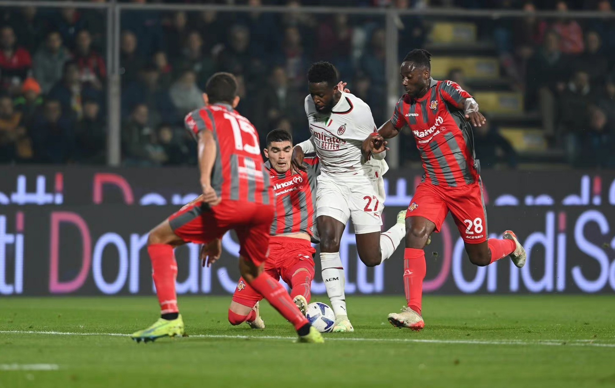 他們本賽季 他們本賽季