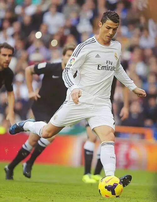 展现了自己 展现了自己